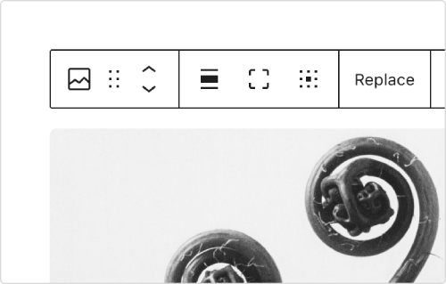 WordPress Block setting